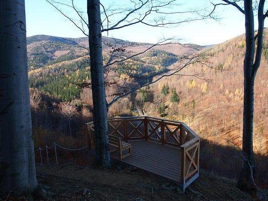 Punkt Widokowy Koci Grzbiet